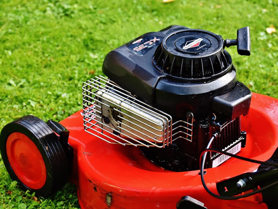 Precision edging & trim — Arlington, TX