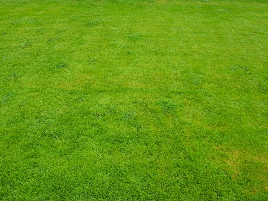 Full-season lawn maintenance — Grand Prairie, TX
